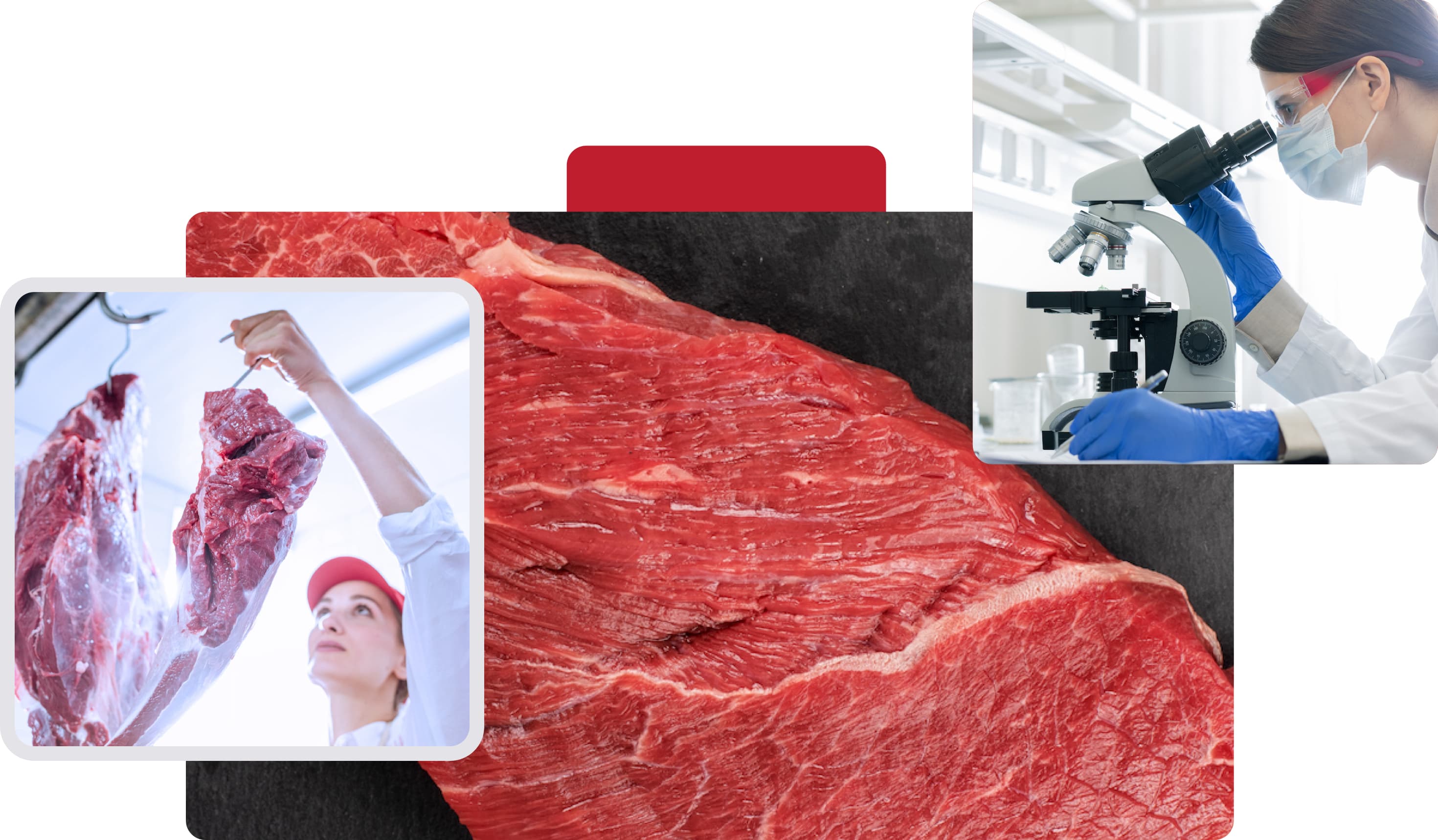 Mosaico analizando calidad de carne redbuchef